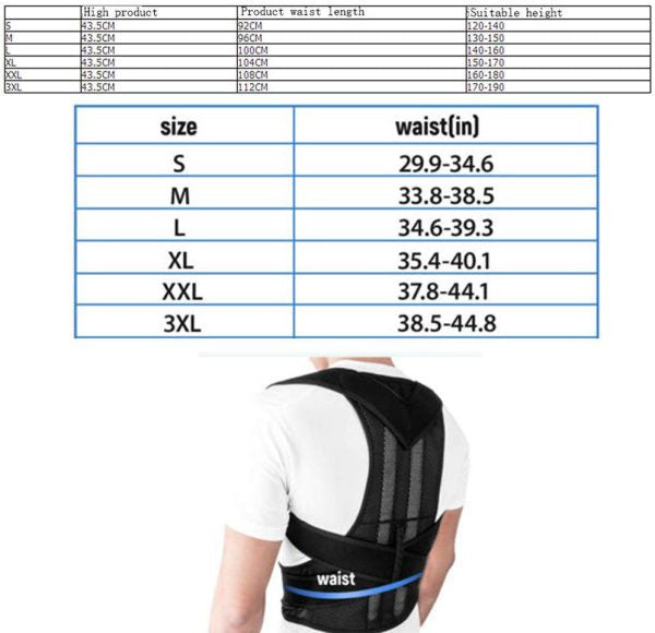 Posture Corrector Belt